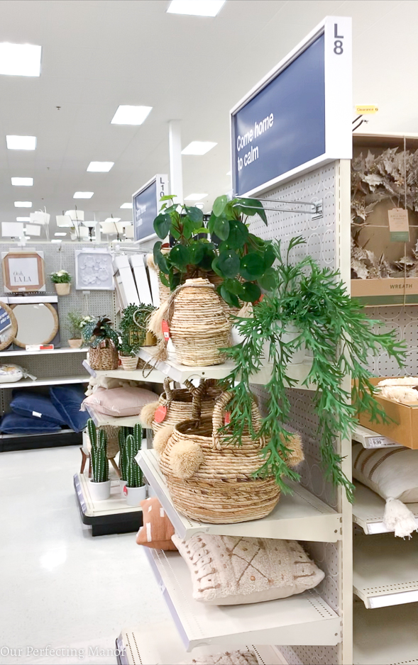This photo is of faux plants in Target.